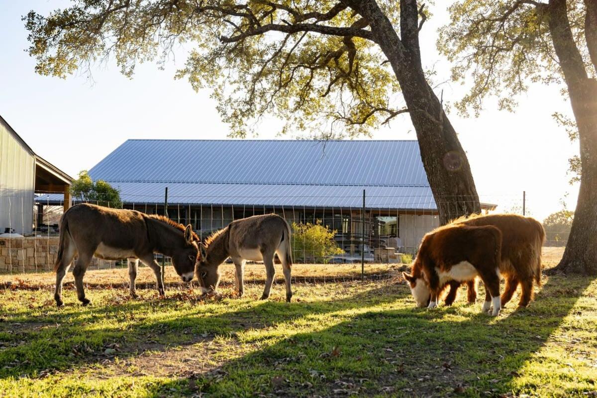 Bent Oak Highland Ranch And Concierge Services Villa Burnet Exterior photo